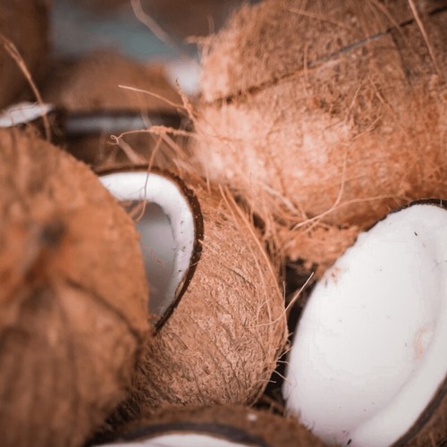 Nuovo guscio cocco 100 - di, 100%