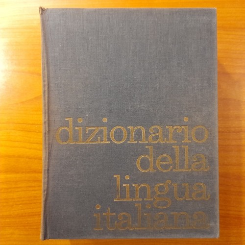 Dizionario della lingua