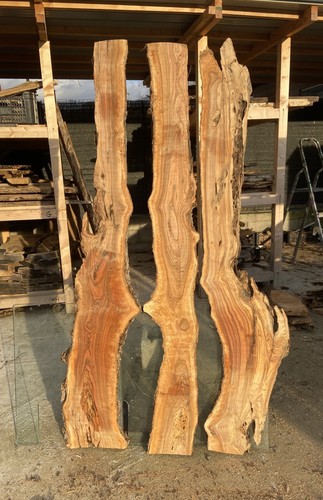 Tavole legno ulivo - tavole,