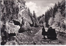 PASSO DELLA CALLA - FORESTA DI