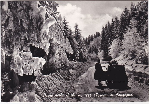Passo della calla foresta - della, di