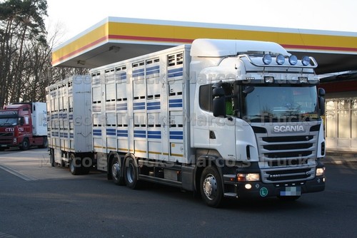 Foto camion scania - scania, r560