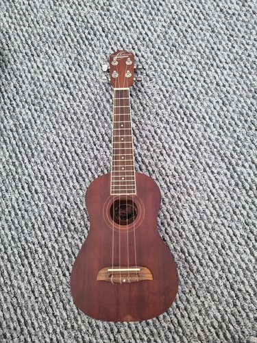 Oscar schmidt washburn - by,