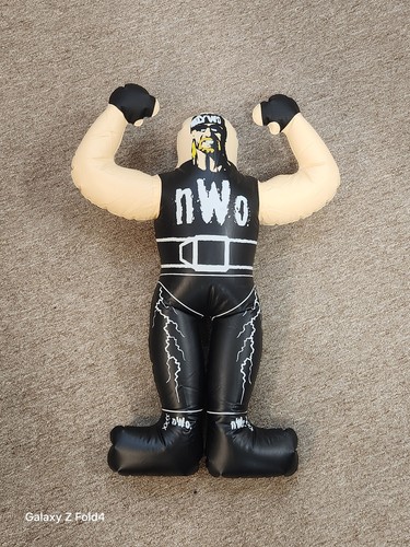 Vintage wcw wrestling