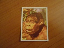 FIGURINA ANIMALI PREISTORICI