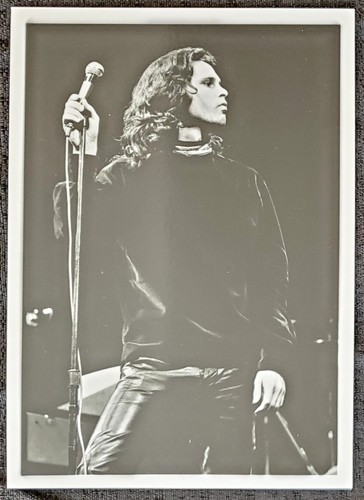 Fotografia jim morrison the - jim,