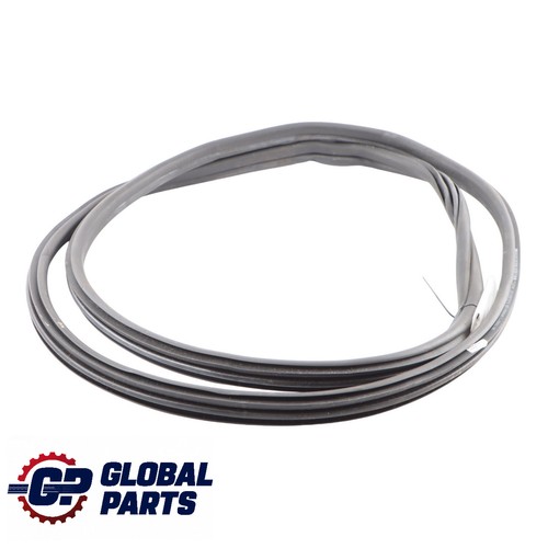 Guarnizione porta bmw g01 - guarnizione, x3