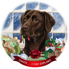 Chocolate Labrador Lab Dog