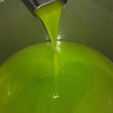 5 LITRI DI OLIO EXTRAVERGINE DI OLIVA NOVELLO OTTOBRE 2025 NOCELLARA DEL BELICE