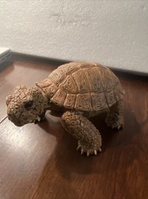 AAA Tartaruga Tartaruga