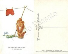 Cucciolo orso in - cucciolo,