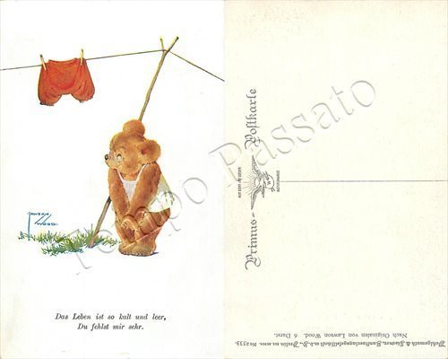 Cucciolo orso in - cucciolo,