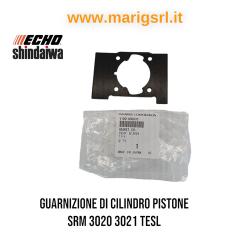 Guarnizione echo cilindro - di, e