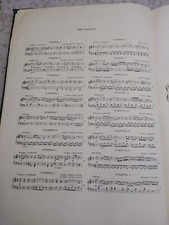 Pianoforte Sonatine Wanhall Czerny Pleyel haslinger Clementi Beethoven Schmitt pianoforte