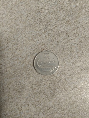 Moneta lire del 1951 - moneta,
