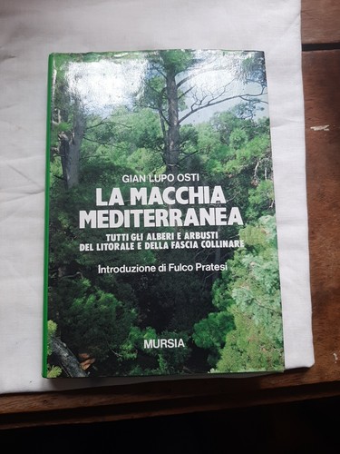 Macchia mediterranea di - macchia,