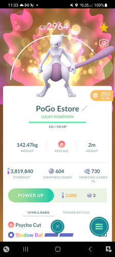 Garantito fortunato mewtwo - garantito,