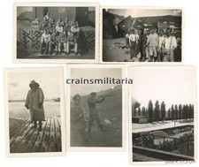 13x orig. Foto Soldatini in