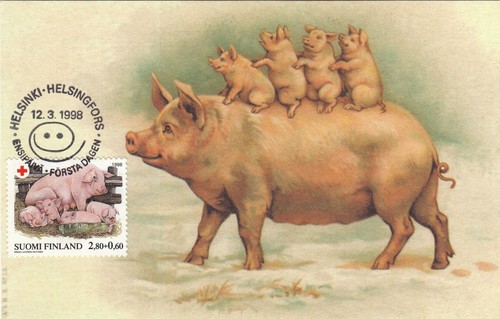 Maiali animali domestici piggy - animali,
