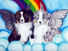 PASTORE AUSTRALIANO AUSSIE