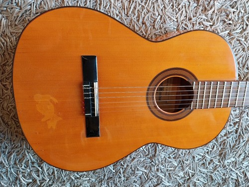Chitarra classica flamenco - chitarra,