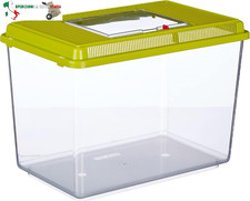 Acquario in plastica per pesci