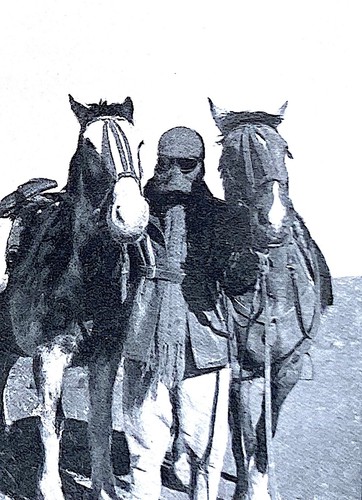 America central 1933 horse - america,