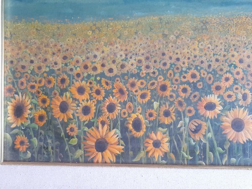 Girasoli dipinti olio - girasoli, ad