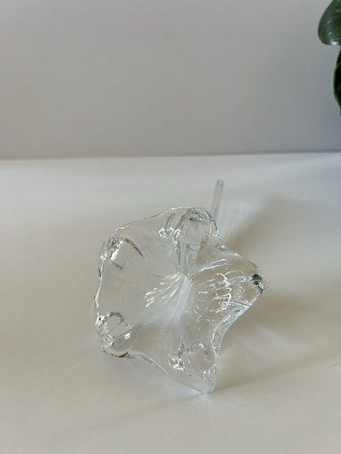 Fiore vetro murano con - fiore,
