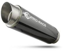 Scarico GP slip-on Kawasaki H2