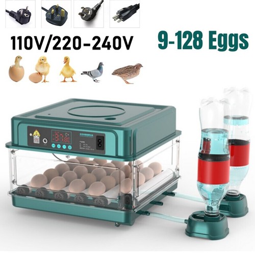 Incubatrice automatica per