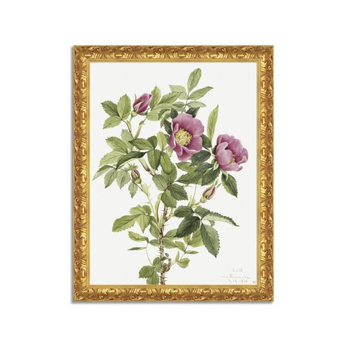 Quadro stampa tela effetto - su,