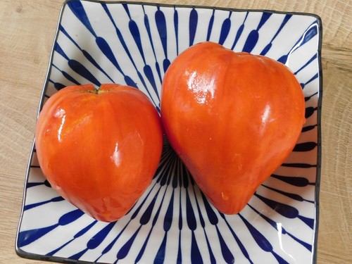 Pomodoro russo cuore - russo,