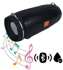 Speaker Cassa Bluetooth Portatile Charge Mini USB WIFI Waterproof Boombox