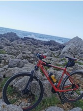bicicletta uomo mountain bike