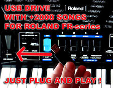 Penna USB thumb drive canzoni backtracks per fisarmonica Roland Fr 1x xb 3x 8x 7 8 4x
