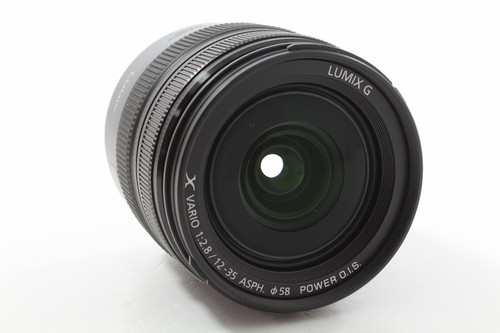 Panasonic lumix vario x - g,