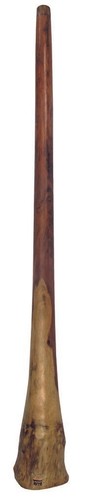 Didgeridoo eucalipto prolina - didgeridoo,