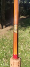 English flamed tonkin - , bamboo