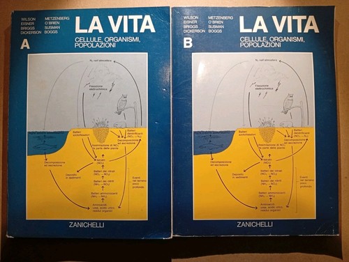 Vita cellule organismi - la, vita.