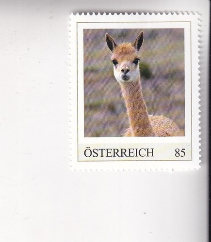 Francobollo austria edition - austria, pm