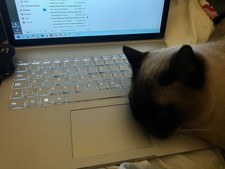 Microsoft Surface Book 13,5" -