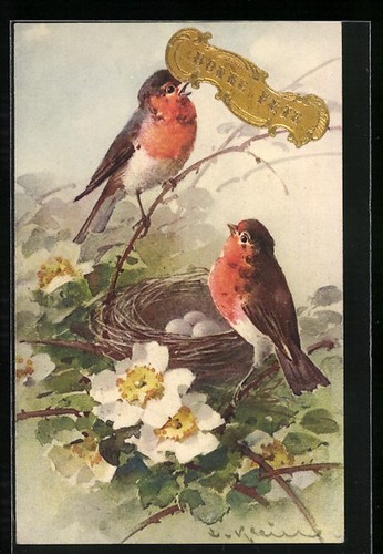 Cartolina artistica catharina - cartolina,