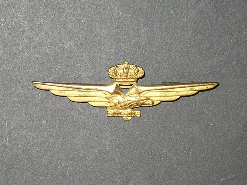 Distintivo brevetto ufficiale - distintivo,