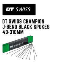 DT Swiss 14G J- bend Raggi