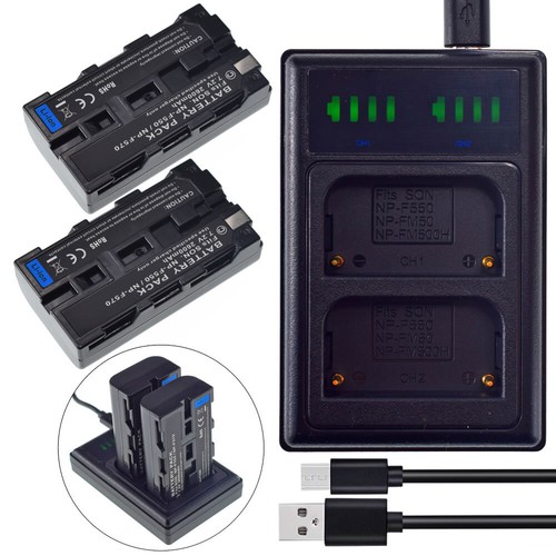 F550 batteria e - 2x, np-