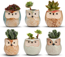 Vasi in Ceramica 6Pz, in