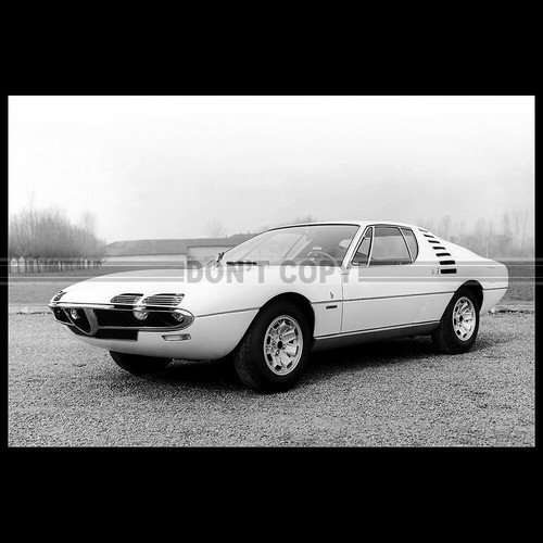 Photo 014431 alfa - photo, a.014431