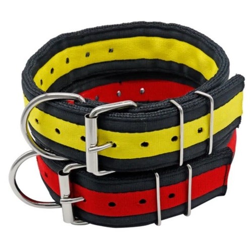 Collare pitbull strati - collare,
