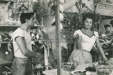 ANTONIO CIFARIELLO SOPHIA